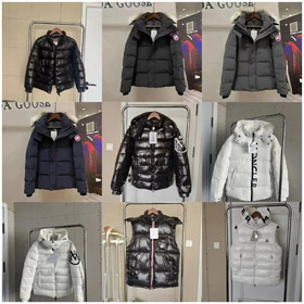 Moncler Madeira serie breve giù giacca Zipper Fit cappuccio manica lunga giù giacca-4287  