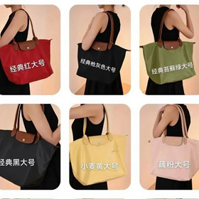 LONGCHAMP Le Pliage borsa a bottone e cerniera-5502  